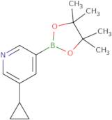 5-(Cyclopropyl)pyridine-3-boronic acid pinacol ester