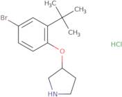 Dgat2 inhibitor 122