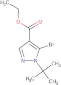 Ethyl 5-bromo-1-tert-butyl-1H-pyrazole-4-carboxylate