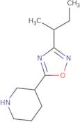 3-(Sec-butyl)-5-(piperidin-3-yl)-1,2,4-oxadiazole