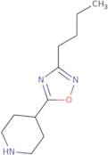 3-Butyl-5-(piperidin-4-yl)-1,2,4-oxadiazole