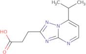 3-[7-(Propan-2-yl)-[1,2,4]triazolo[1,5-a]pyrimidin-2-yl]propanoic acid
