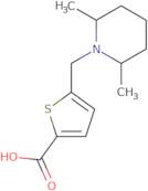 5-[(2,6-Dimethylpiperidin-1-yl)methyl]thiophene-2-carboxylic acid
