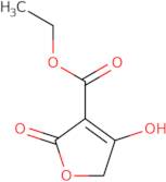 Ethyl 4-hydroxy-2-oxo-2,5-dihydrofuran-3-carboxylate