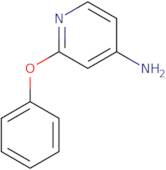 2-Phenoxypyridin-4-amine