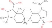 Ceanothic acid