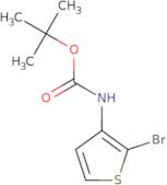 3-(Boc-amino)-2-bromothiophene