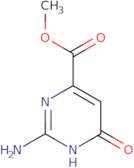 Methyl 2-amino-6-hydroxypyrimidine-4-carboxylate