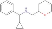 [Cyclopropyl(phenyl)methyl](oxan-2-ylmethyl)amine
