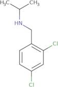 (2,4-Dichloro-benzyl)-isopropyl-amine