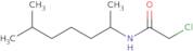 2-Chloro-N-(6-methylheptan-2-yl)acetamide