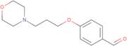 4-(3-Morpholin-4-yl-propoxy)-benzaldehyde