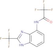 2,2,2-Trifluoro-N-(2-trifluoromethyl-3H-benzoimidazol-4-yl)-acetamide