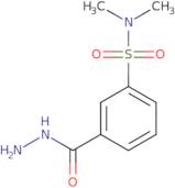 3-(Hydrazinecarbonyl)-N,N-dimethylbenzene-1-sulfonamide