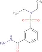 N,N-Diethyl-3-(hydrazinecarbonyl)benzene-1-sulfonamide