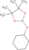 2-(Cyclohexyloxy)-4,4,5,5-tetramethyl-1,3,2-dioxaborolane