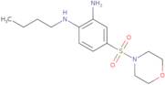 N1-Butyl-4-(morpholine-4-sulfonyl)benzene-1,2-diamine