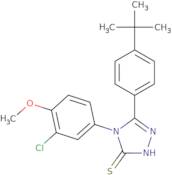 5-(4-tert-Butylphenyl)-4-(3-chloro-4-methoxyphenyl)-4H-1,2,4-triazole-3-thiol