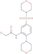 2-Chloro-N-[5-(morpholine-4-sulfonyl)-2-morpholin-4-yl-phenyl]-acetamide