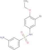 3-Amino-N-(3-bromo-4-ethoxy-phenyl)-benzenesulfonamide