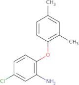 3-[(1RS)-1-[[ethyl(methyl)carbamoyl]amino]ethyl]phenyl N-ethyl-N-methylcarbamate