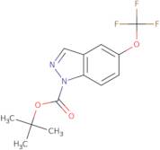 5-(Trifluoromethoxy)-1H-indazole, N1-BOC protected