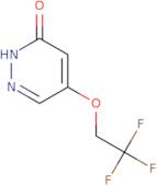 5-(2,2,2-Trifluoroethoxy)pyridazin-3(2H)-one