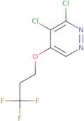 3,4-Dichloro-5-(3,3,3-trifluoropropoxy)pyridazine