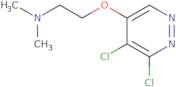 2-((5,6-Dichloropyridazin-4-yl)oxy)-N,N-dimethylethanamine
