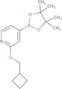 2-(Cyclobutylmethoxy)-4-(4,4,5,5-tetramethyl-1,3,2-dioxaborolan-2-yl)pyridine