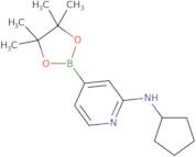 2-(N-Cyclopentylamino)pyridine-4-boronic acid pinacol ester