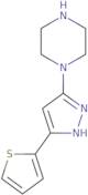 1-(5-Thiophen-2-yl-2H-pyrazol-3-yl)-piperazine
