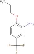 2-Propoxy-5-(trifluoromethyl)aniline