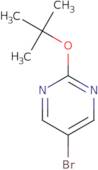 5-Bromo-2-tert-butoxy-pyrimidine