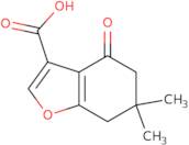 6,6-Dimethyl-4-oxo-4,5,6,7-tetrahydro-benzofuran-3-carboxylic acid