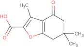 3,6,6-Trimethyl-4-oxo-4,5,6,7-tetrahydro-benzofuran-2-carboxylic acid