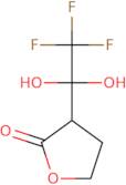 3-(2,2,2-Trifluoro-1,1-dihydroxyethyl)oxolan-2-one