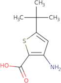 3-Amino-5-tert-butylthiophene-2-carboxylic acid