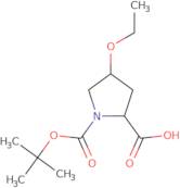 (2S,4R)-1-[(tert-Butoxy)carbonyl]-4-ethoxypyrrolidine-2-carboxylic acid