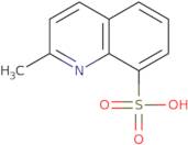 2-Methylquinoline-8-sulfonic acid