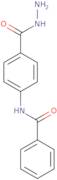 N-[4-(Hydrazinocarbonyl)phenyl]benzamide