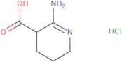 2-Amino-3,4,5,6-tetrahydropyridine-3-carboxylic acid hydrochloride