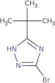 5-Bromo-3-tert-butyl-1H-1,2,4-triazole