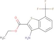 Ethyl 3-amino-7-(trifluoromethyl)benzo[b]thiophene-2-carboxylate