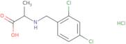 2-{[(2,4-Dichlorophenyl)methyl]amino}propanoic acid hydrochloride