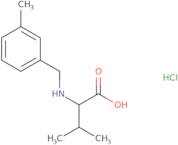 3-Methyl-2-{[(3-methylphenyl)methyl]amino}butanoic acid hydrochloride
