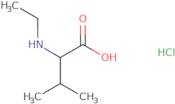 2-(Ethylamino)-3-methylbutanoic acid hydrochloride