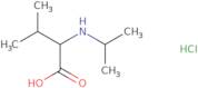 3-Methyl-2-[(propan-2-yl)amino]butanoic acid hydrochloride