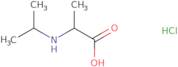 2-[(Propan-2-yl)amino]propanoic acid hydrochloride