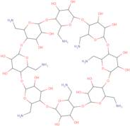 Octakis(6-amino-6-deoxy)-γ-cyclodextrin